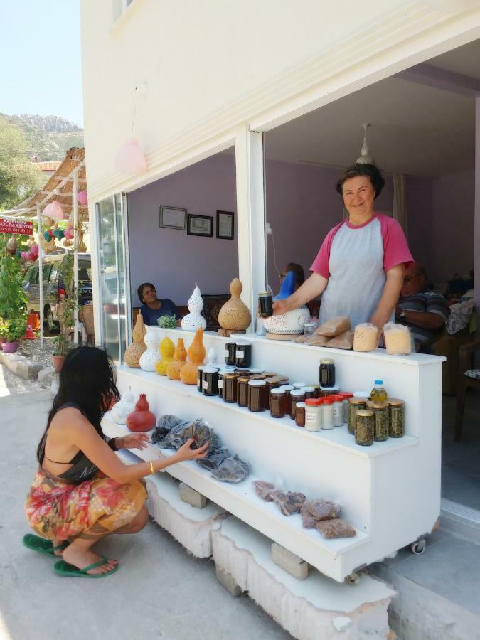 Hostel Gul Sogut